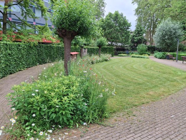 Tuin 4 Dominee Theodor Fliednerstraat